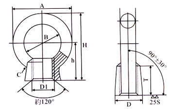 JIS1169 Eye Nut